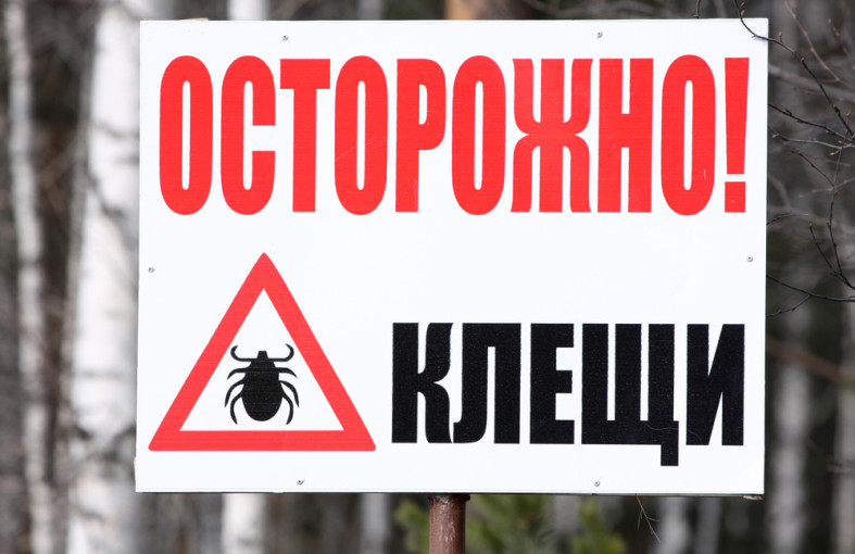 Горячая линия. Клещевой энцефалит. Горячая линия. Клещевой энцефалит.